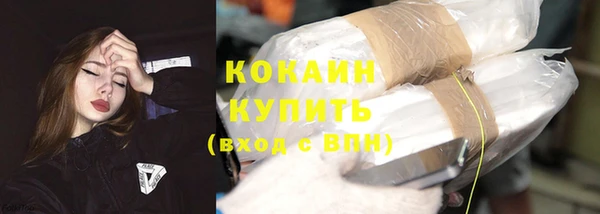соль ск Каменка