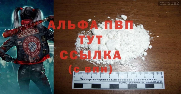 spice Каменногорск