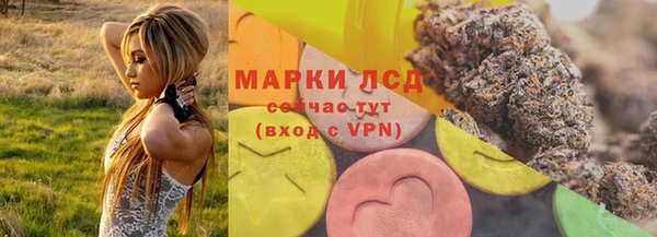 соль ск Каменка