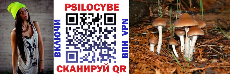 Купить закладки  Сясьстрой  Галлюциногенные грибы прущие грибы 